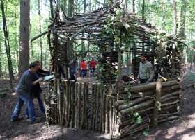 Building a Forest Cabin