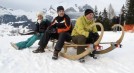 Horn sledge adventure II