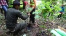 Waldprojekt Video